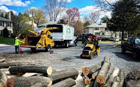 Benson, UT  Tree Services Company